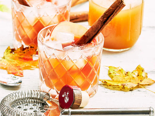 Apple cider bourbon cocktail served over ice with apple slices and a cinnamon stick garnish in a crystal rocks glass.